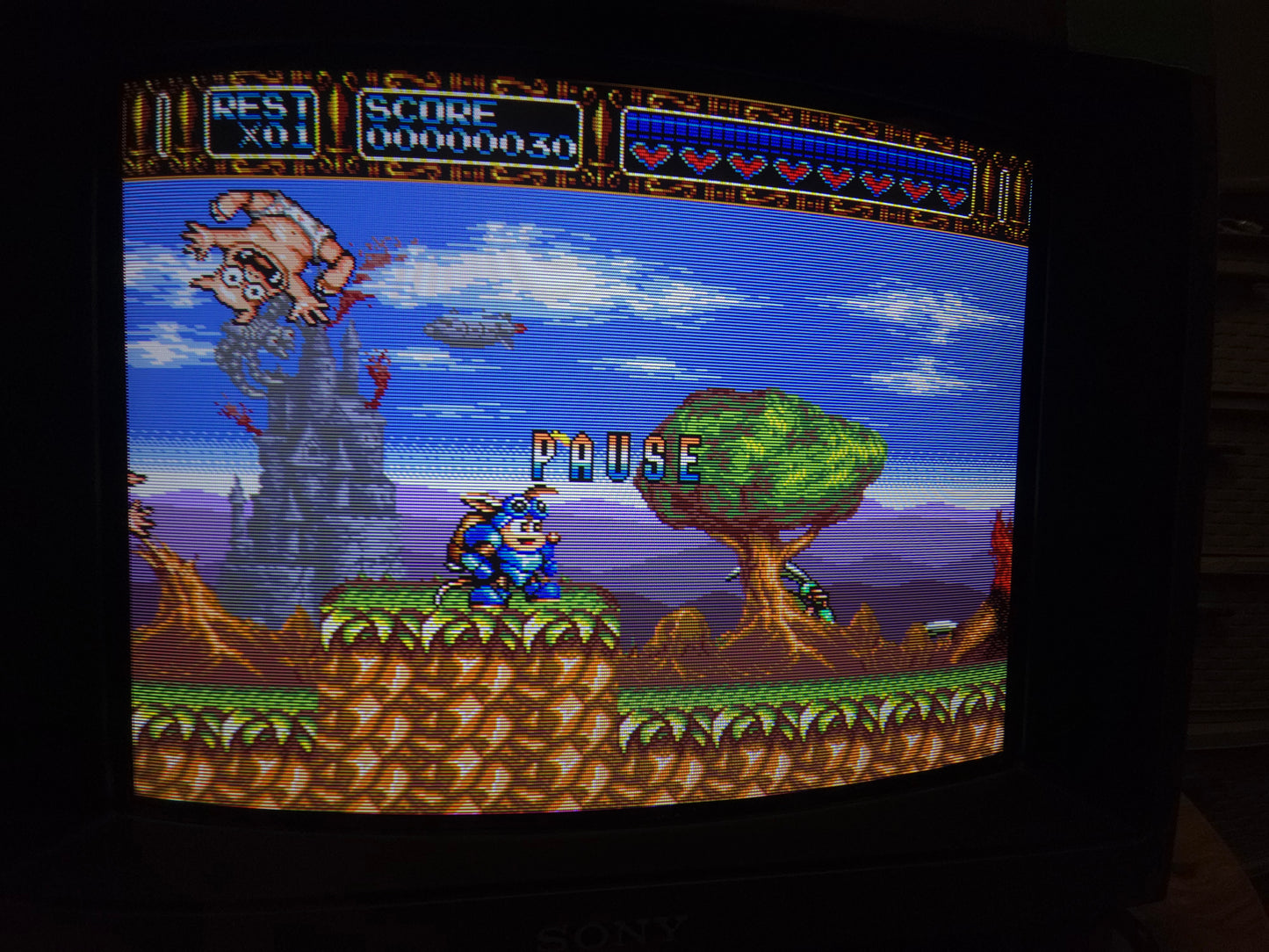 Sony PVM-14M4U