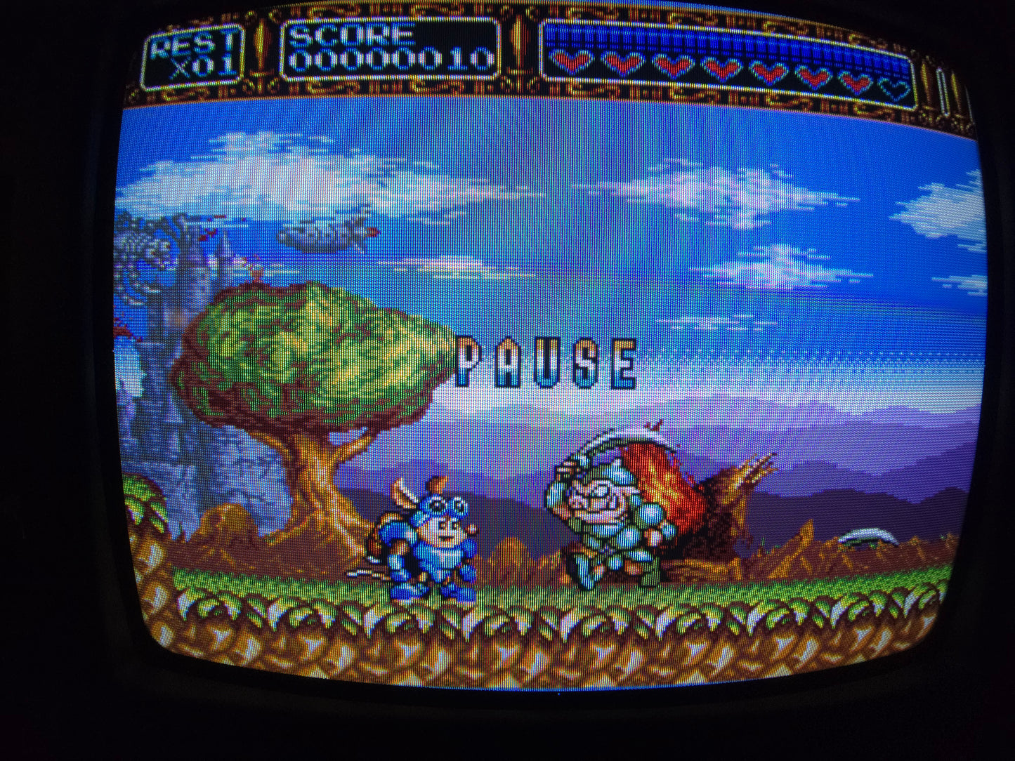 13" Samsung VHS RGB