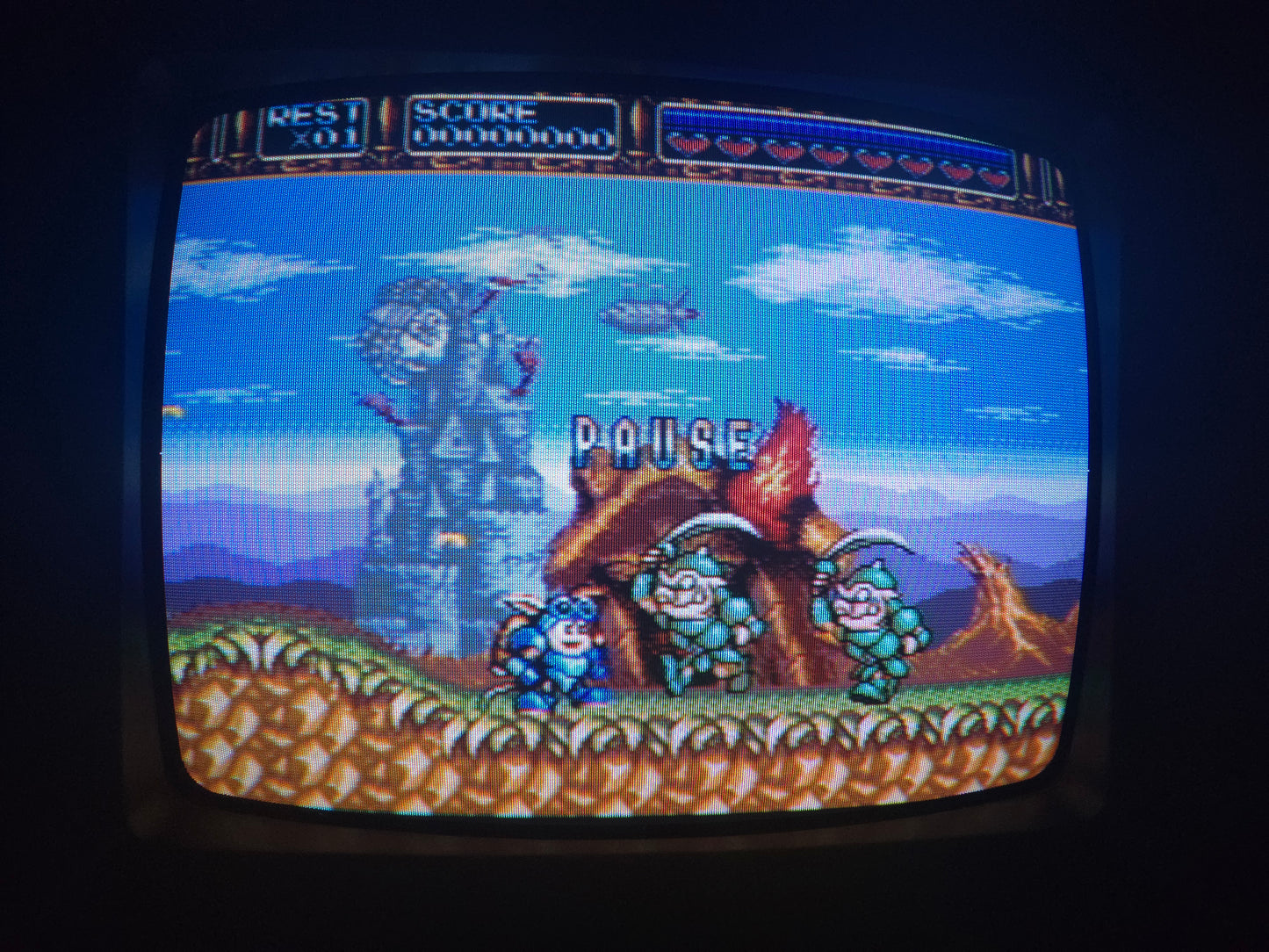 Samsung GX TV Monitor 13" (RGB Modded with BNC)