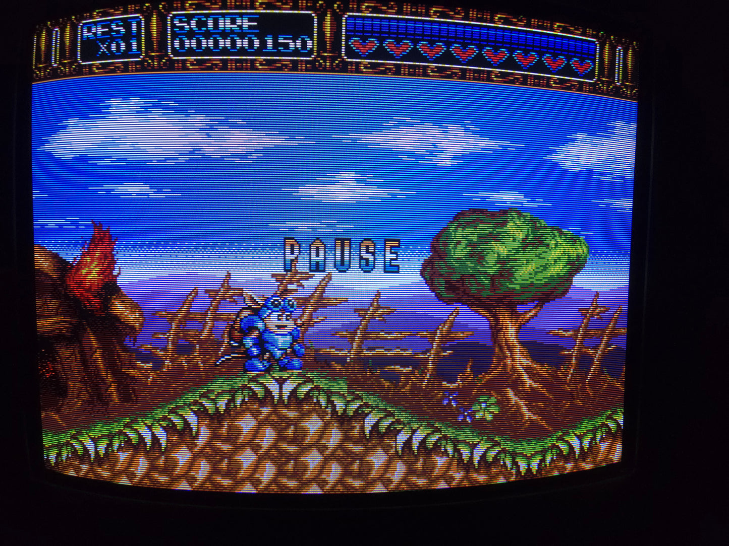 Sony PVM 14M4U