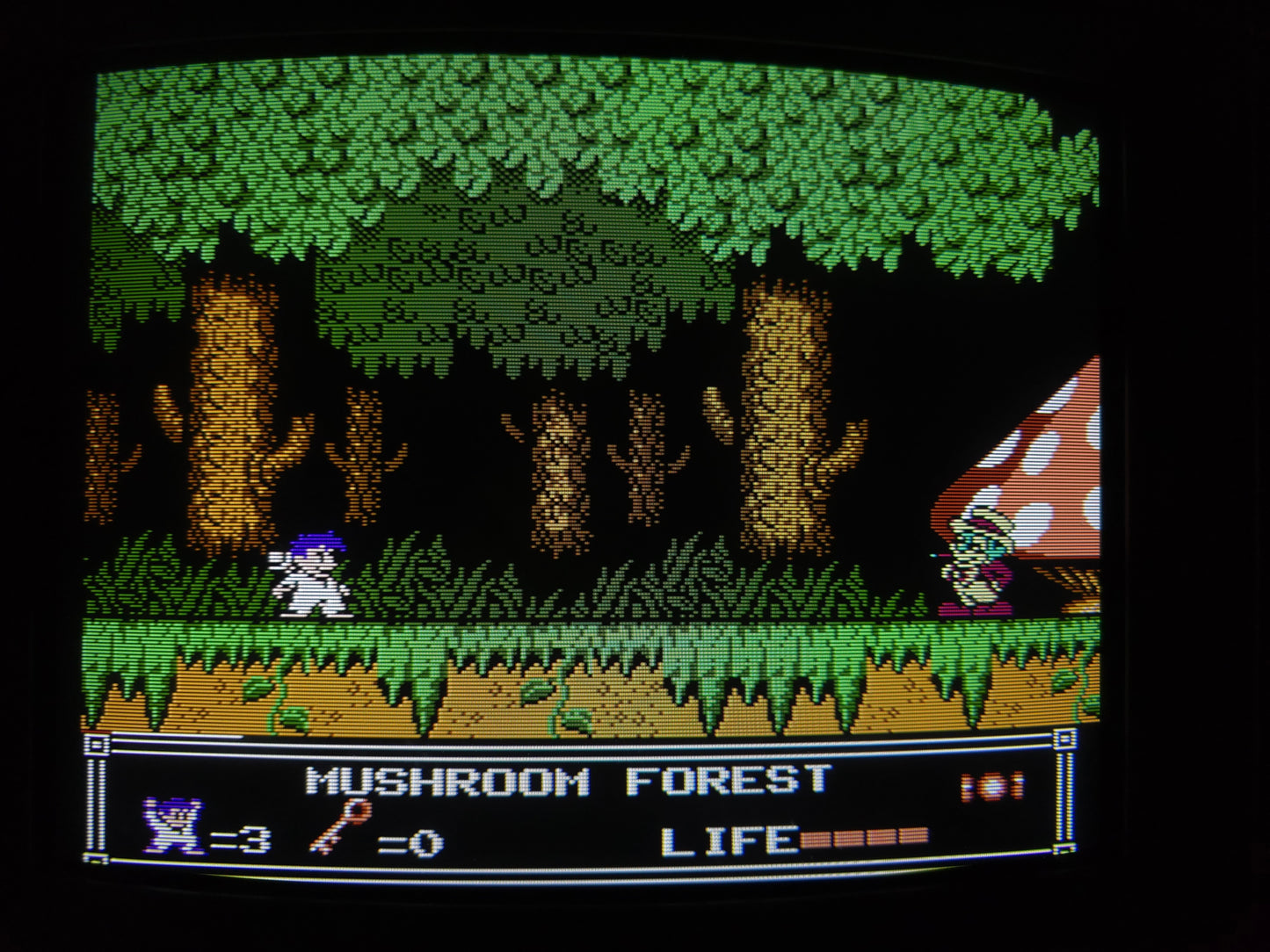 Sony PVM-1343MD