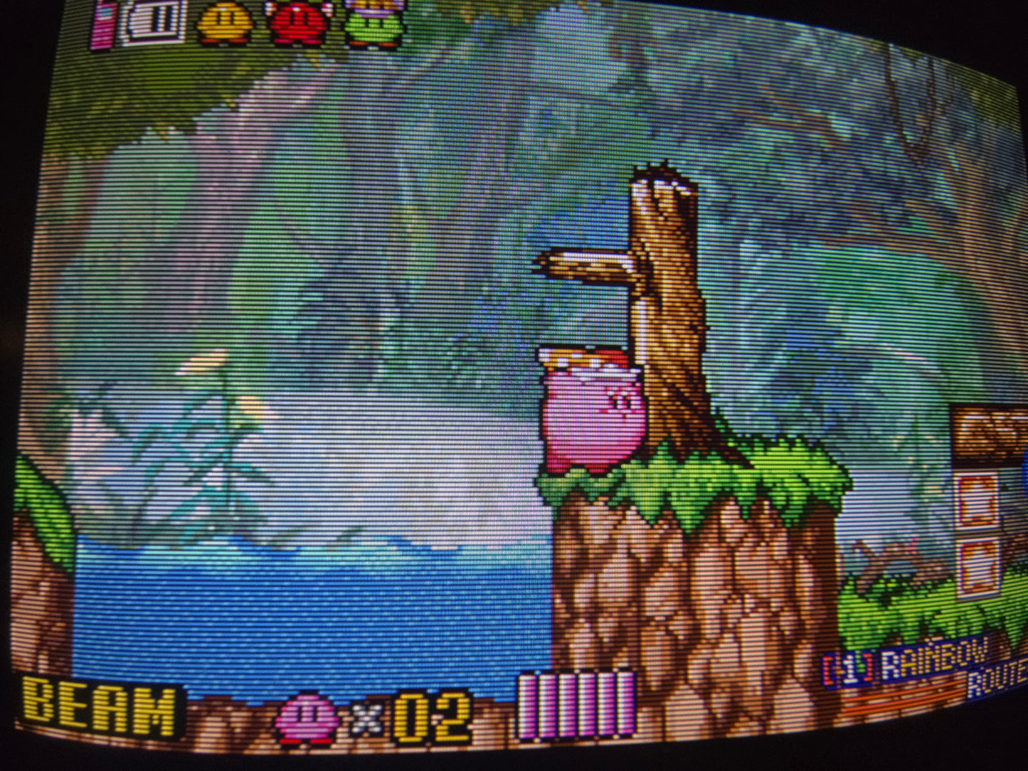 Sony PVM-1343MD