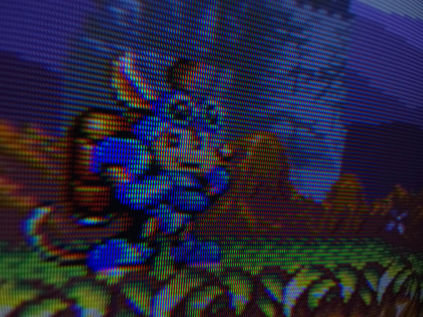 Sony PVM 8044Q !