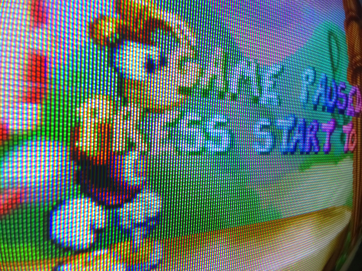 13" Samsung VHS RGB