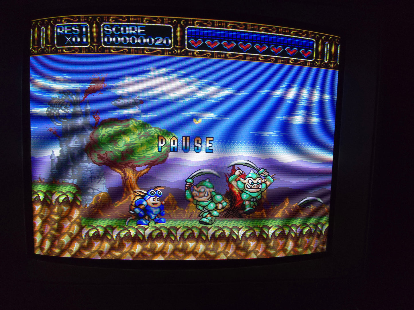 Sony PVM-1953MD