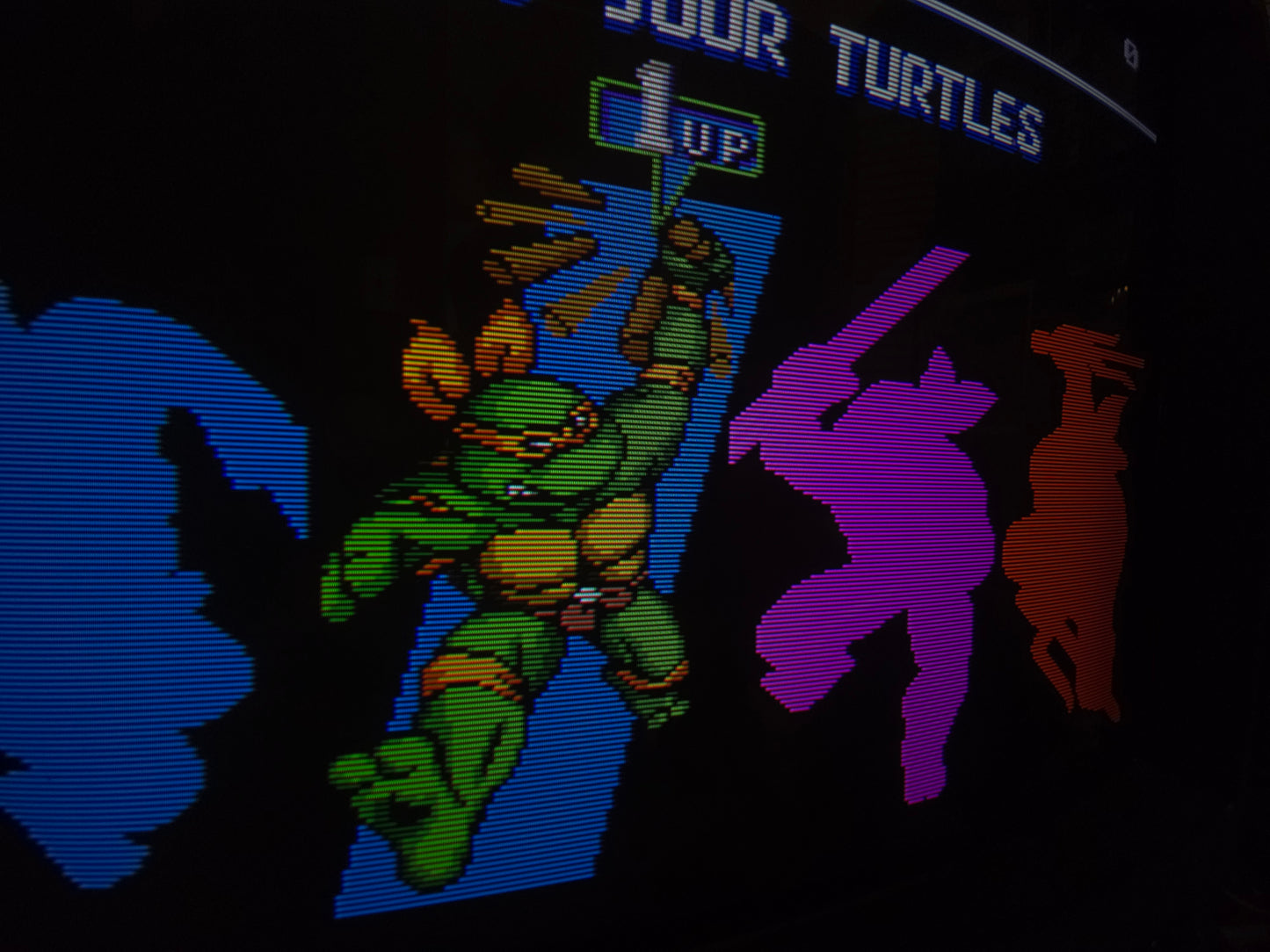 Sony PVM-1341 (Renewed!)