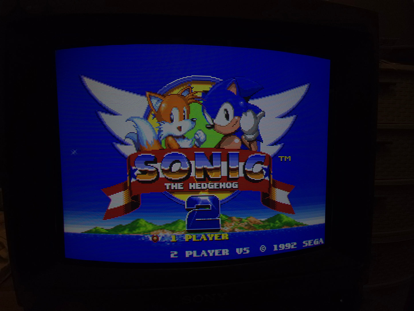 Sony PVM-1341 (Renewed!)