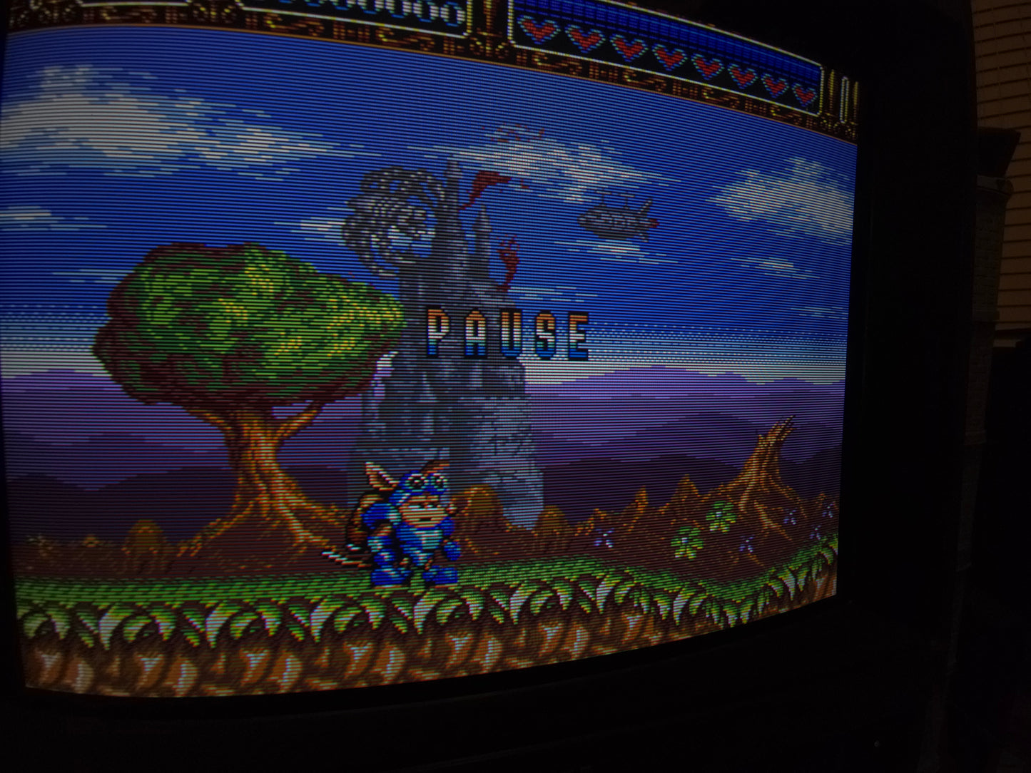 Sony PVM-1341 (Renewed!)