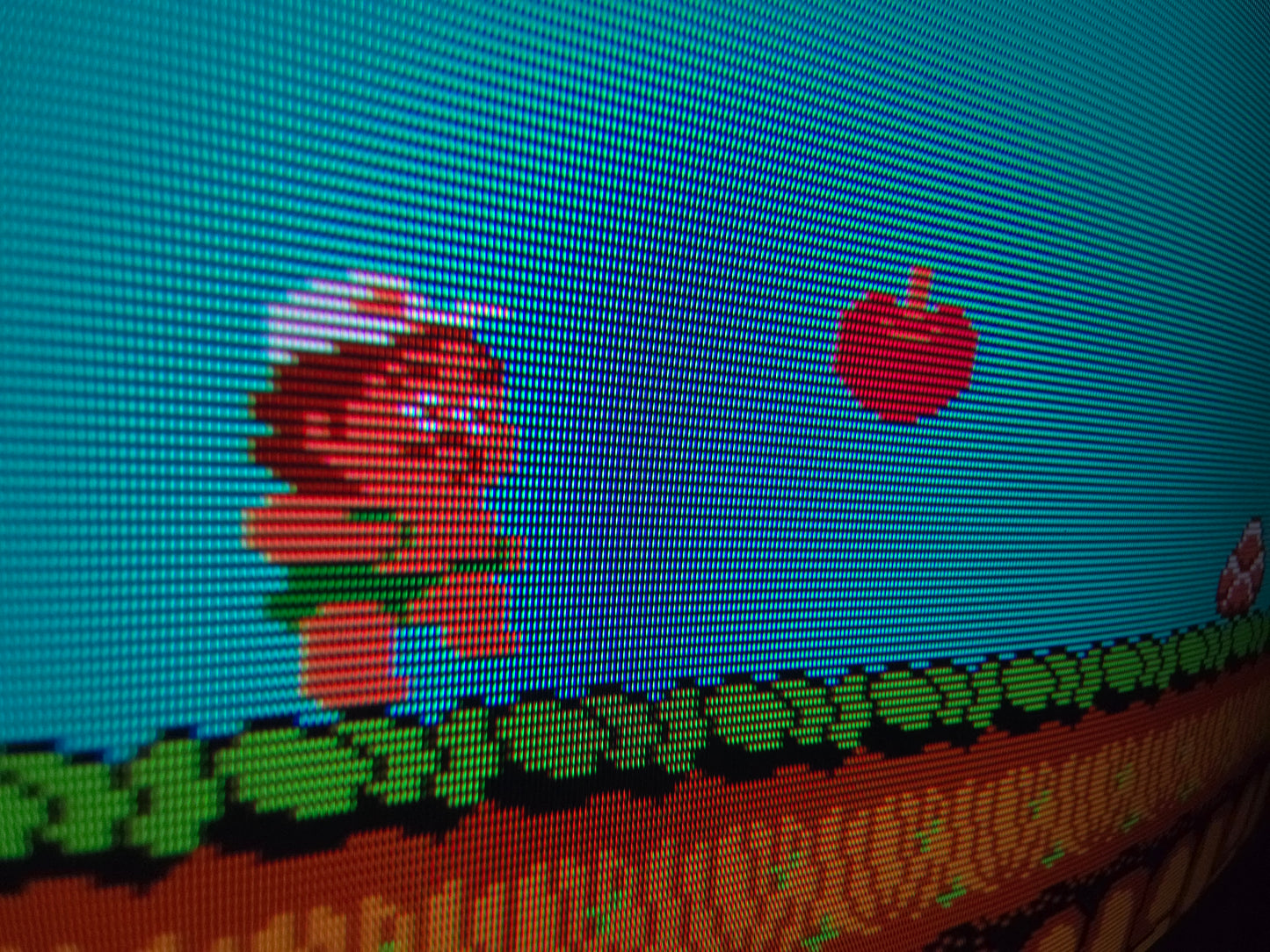 Sony PVM-8044Q