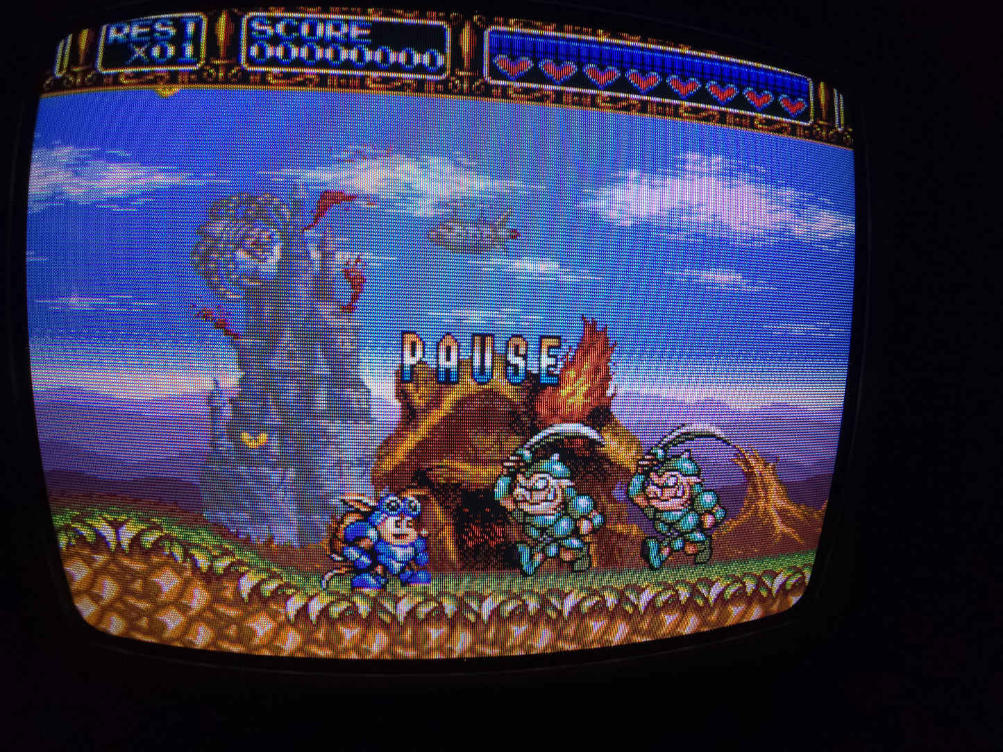 13" JVC C-13110 RGB