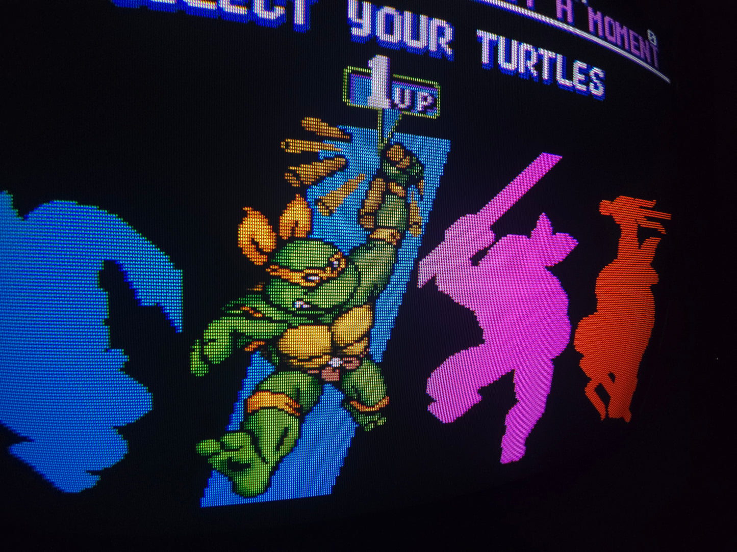 13" JVC C-13110 RGB